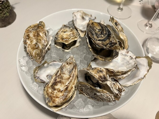 9C02AA96-49C3-4771-99F1-B662CF886FB8_1_105_c