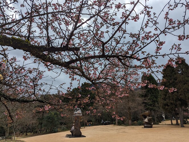 PXL_20240218_043321796