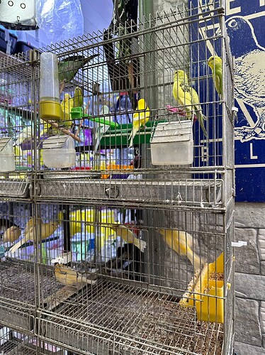 aabf24851660645c8cbc764e2dbc61a