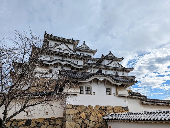 PXL_20231214_034441696