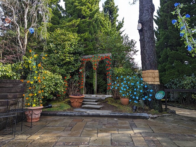 PXL_20240220_013346817