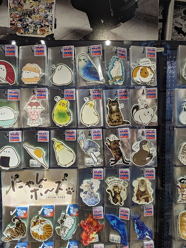 PXL_20240221_013534864