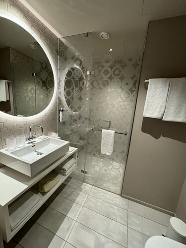 47324CD0-90C7-4E79-81DA-11FDA14E0695_1_105_c