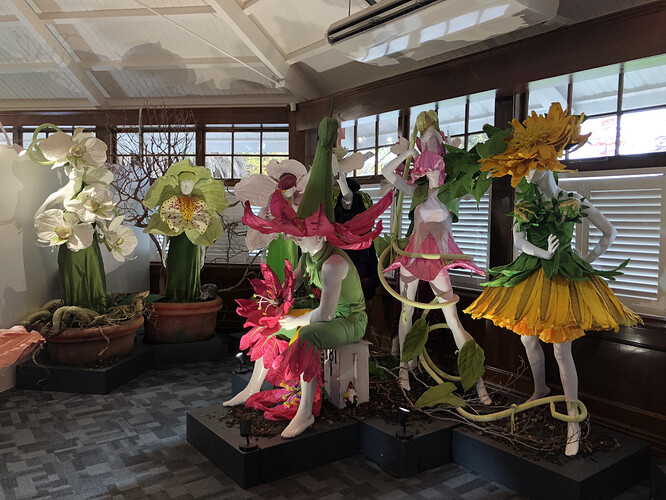 Christchurch Botanic Garden Fashion