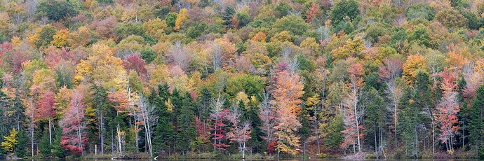 IMG_2479-Pano