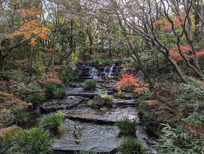 PXL_20231214_044714585