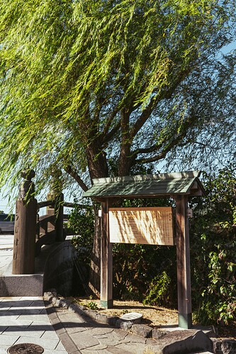 DSC05551