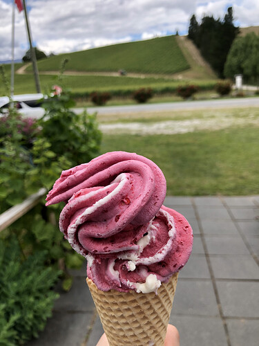 Cheeki Cherries, PYO Orchard 3.HEIC