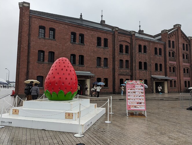 PXL_20240221_011207508