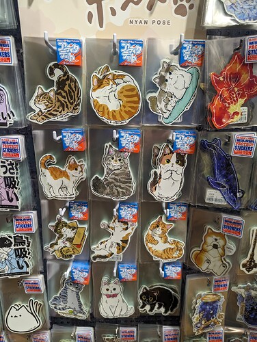 PXL_20240221_011911325