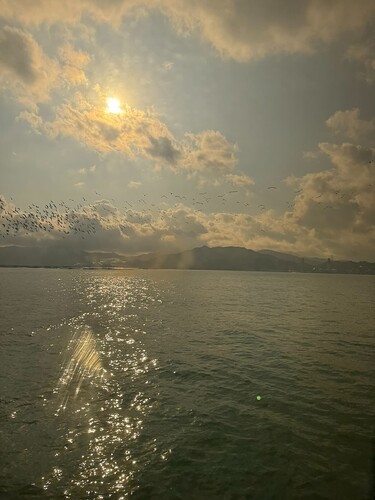 AD8938FB-7C0E-4EAC-B869-113D7115E768_1_102_o