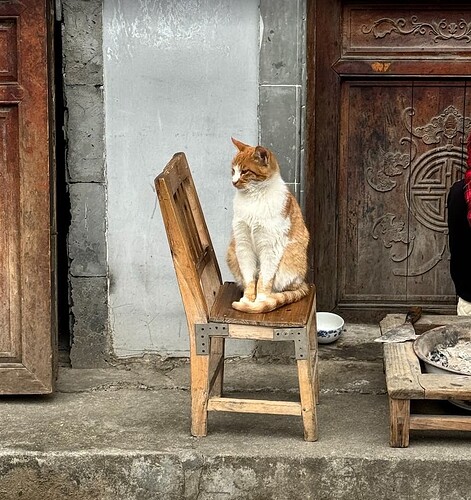 QQ拼音截图20240325125429