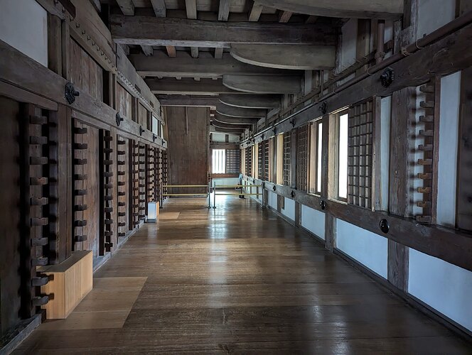 PXL_20231214_040520502