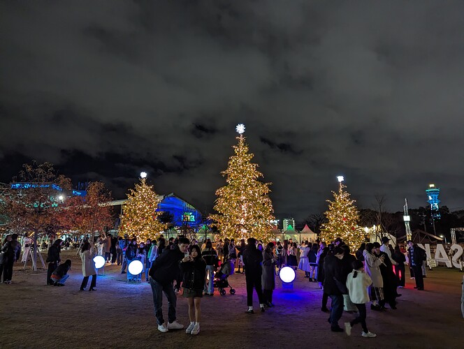 PXL_20231212_113043533