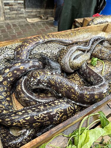 e6eb285b5f552cfa3ccfc3e0aa1b104