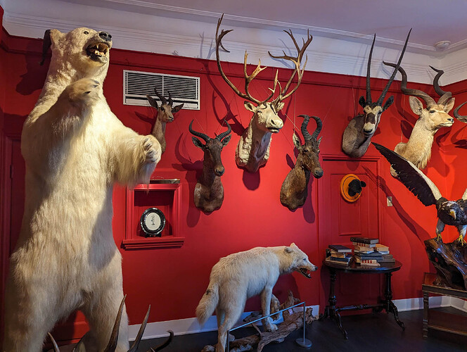 PXL_20231213_060019584