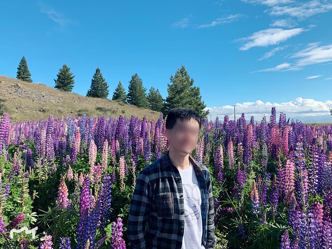 Lupin