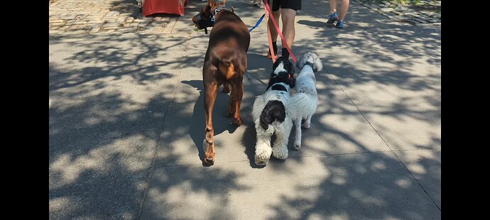 Screenshot_20230713-115947