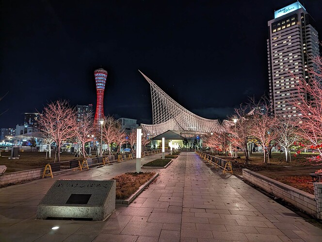 PXL_20231212_104445151.NIGHT