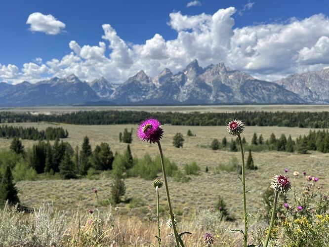 great teton