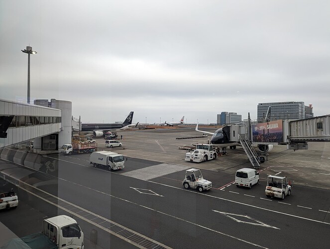PXL_20231211_060516109