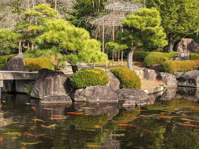 PXL_20231214_045104777