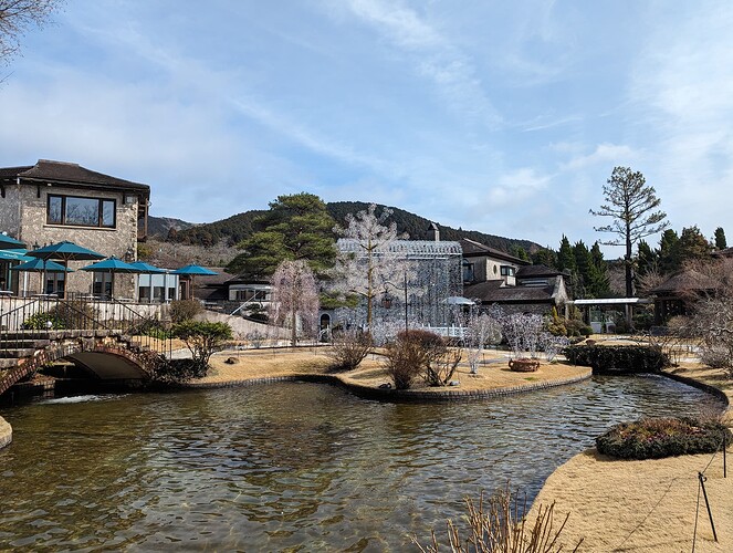 PXL_20240220_015003201