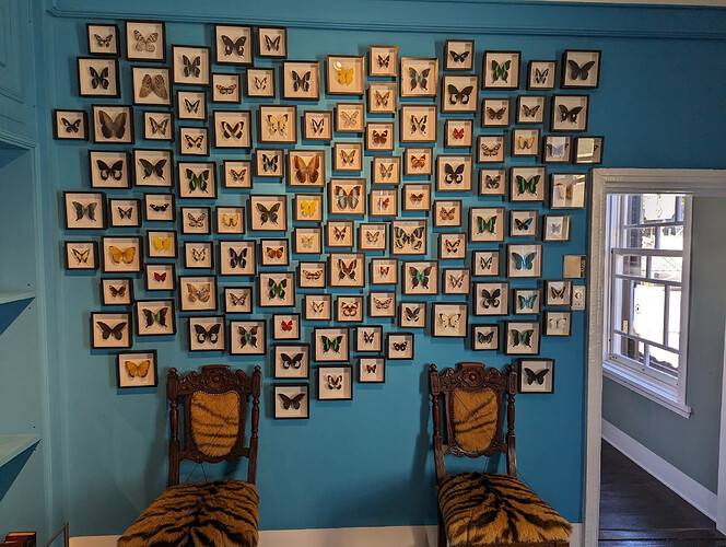 PXL_20231213_060137416