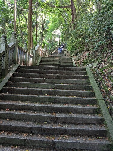 PXL_20230521_033100416