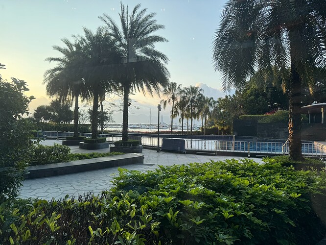 AC82AE97-37BF-4AA8-B5C6-4D0E7394E490_1_102_o