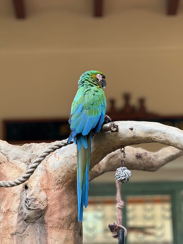 IMG_9273
