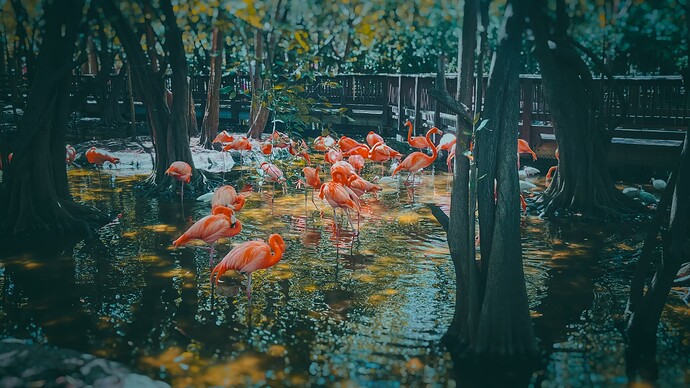 FullSizeRender_VSCO_51-Enhanced-SR-3