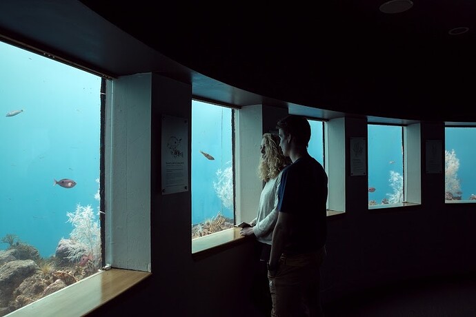 Milford Sound Underwater Observatory 2