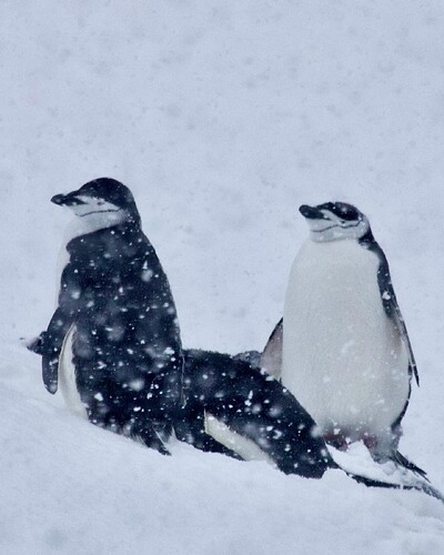 F32688CB-5310-46C0-B550-17D9E414E5DF