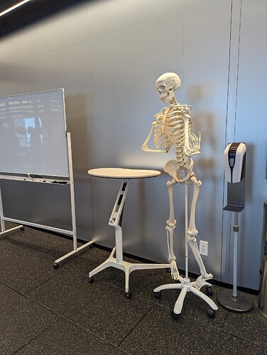 PXL_20240222_031546504