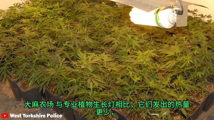 Screenshot_20240212_234931_tv.danmaku.bili_edit_302058350333574