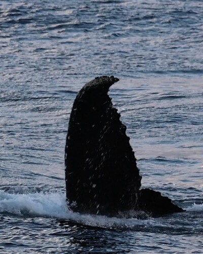 B1676708-596C-41C4-99E3-FB378D67BEA8