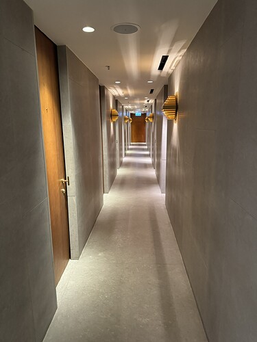 907FA1FE-4820-4389-8496-4616D1ADE832_1_102_o