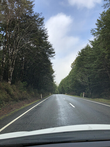 Lewis Pass