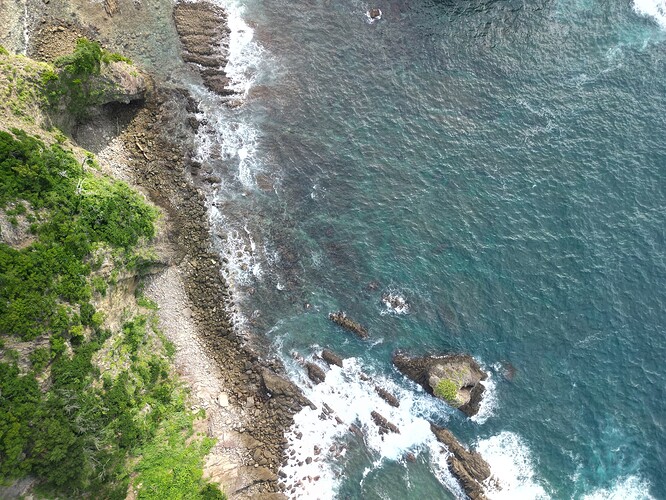 DJI_0339