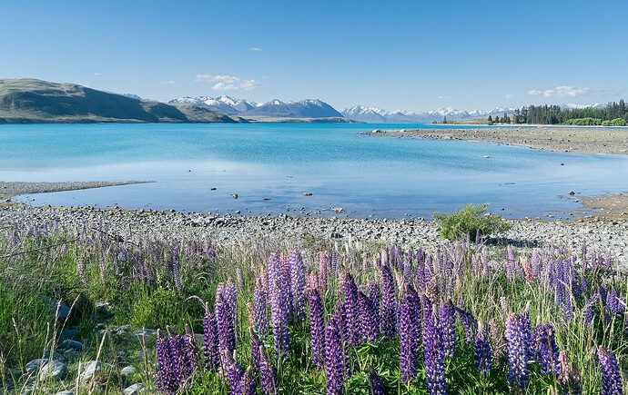Lake Tekapo in Canterbury Region