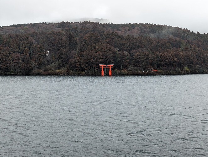 PXL_20240219_033632362