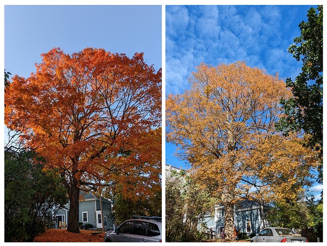 20231023_202446-COLLAGE