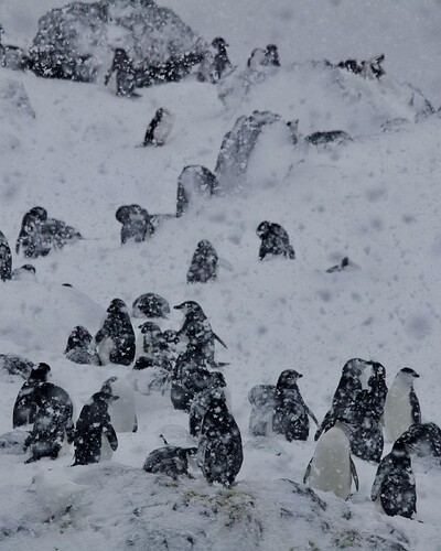 054F8F23-1ADE-4576-968C-C597722EAD96