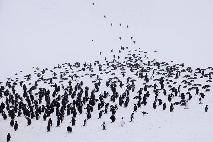 K.thompson.staff.2023-30