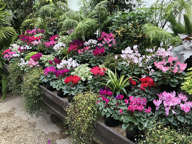Christchurch Botanic Garden 2