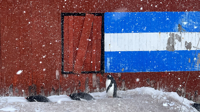 Arg rescue hut with Penguins_WF