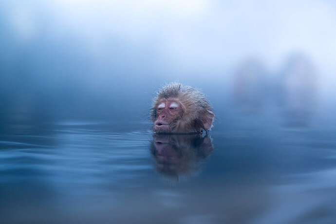 15581175044_cf04f2731d_b