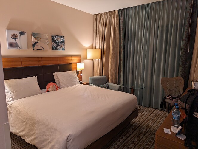 PXL_20240113_181051606