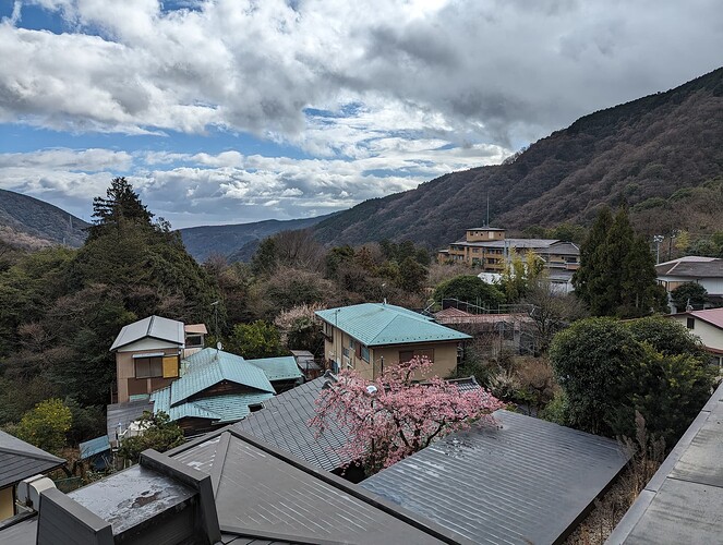 PXL_20240219_003538286